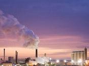 Polonia pide aumente cuota producción azúcar