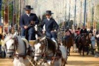 La Feria del Caballo de Jerez de la Frontera