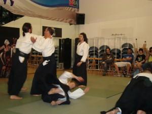 Que digo yo, que igual la indumentaria de las chicas de DoA no es la más apropiada para practicar Aikido, no...? 