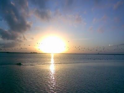 No puede quedar inadvertidoel firmamento ni el océan...