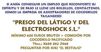 ¡Oferta Gorda del Día!