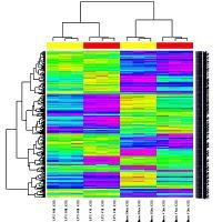 Usando R para el análisis de microarrays