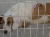 Mila está tras rejas... sabe porque