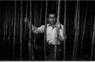 Fotografias, Haruo Ohara