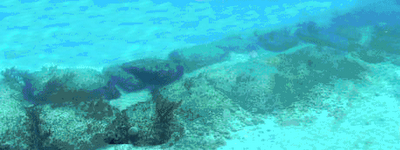 Un lugar en las Islas Bimini