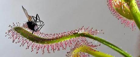 Enlaces de la semana (19/11) Enlaces de la semana (19/11)