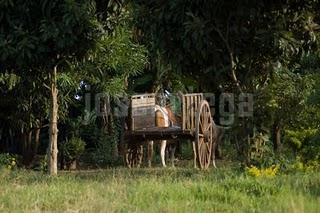 HAY UN MUNDO FUERA DE MI CAMARA