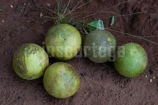 HAY UN MUNDO FUERA DE MI CAMARA