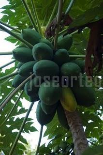 HAY UN MUNDO FUERA DE MI CAMARA