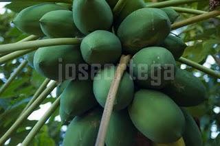 HAY UN MUNDO FUERA DE MI CAMARA