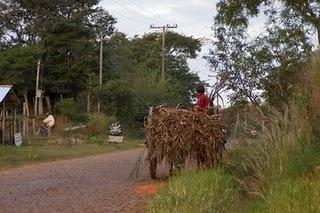 HAY UN MUNDO FUERA DE MI CAMARA