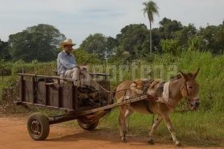 HAY UN MUNDO FUERA DE MI CAMARA