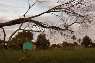 HAY UN MUNDO FUERA DE MI CAMARA