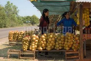 HAY UN MUNDO FUERA DE MI CAMARA