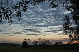 HAY UN MUNDO FUERA DE MI CAMARA