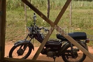 HAY UN MUNDO FUERA DE MI CAMARA