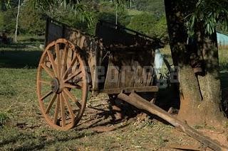 HAY UN MUNDO FUERA DE MI CAMARA