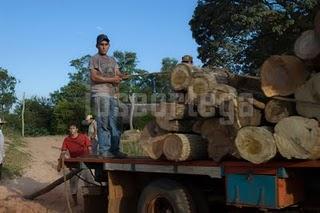 HAY UN MUNDO FUERA DE MI CAMARA