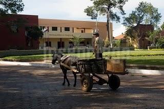 HAY UN MUNDO FUERA DE MI CAMARA