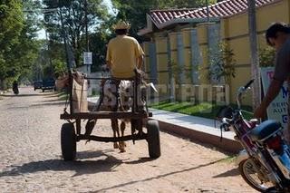 HAY UN MUNDO FUERA DE MI CAMARA