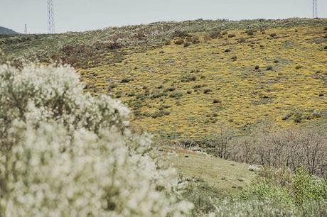 redemption song redemption song