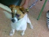 Peque sólo tiene unas horas, urgente!!