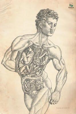 Ilustrísimos anuncios Gráficos: Cap. 2!