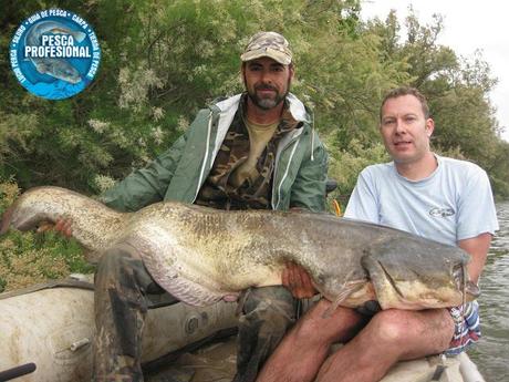 PESCADORES DE SILUROS