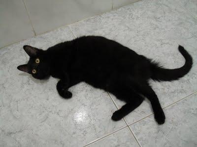 Trastadas... ¡del padre!