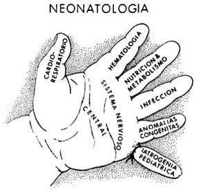 Los recién nacidos tienen 6 dedos