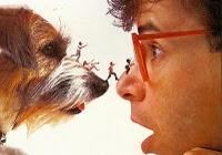 15 películas que no me canso de ver y algunas curiosidades