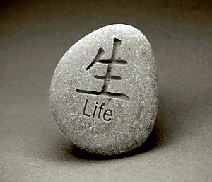 Vivir el presente ahorra dinero [Minimalismo extremo]