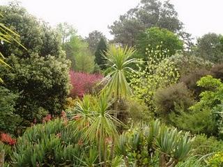 La Ruta de las Camelias: El jardín de La Saleta.