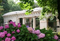 La Ruta de las Camelias: El jardín de La Saleta.