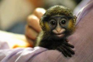 La bicoca winner de abril.