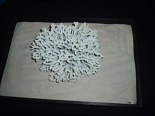 Asistimos a la botadura de NAUTA360.COM, ¡comienza la travesía!