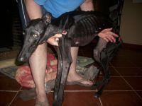 Así evoluciona Esperanza