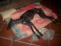 Así evoluciona Esperanza