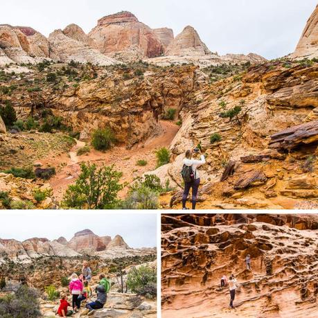capitol-gorge-trail-1 ▷ Semana 22: Gemas ocultas y toda la belleza estadounidense en Utah