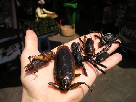 insect-market-440_1920-min-1024x768 ▷ Cosas divertidas para hacer en Siem Reap además de los templos