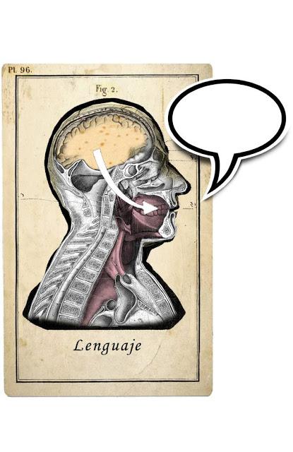 [A VUELAPLUMA] Chomsky como humanista