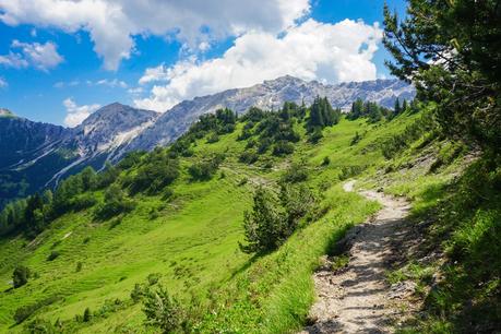 ▷ Desgracias en las montañas de Liechtenstein Hiking-track-in-Liechtenstein.jpg.optimal ▷ Desgracias en las montañas de Liechtenstein
