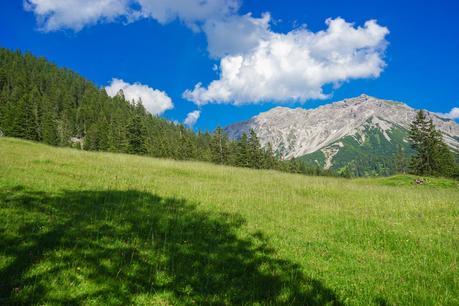 ▷ Desgracias en las montañas de Liechtenstein Grass-and-mountain-outside-Malbun.jpg.optimal ▷ Desgracias en las montañas de Liechtenstein