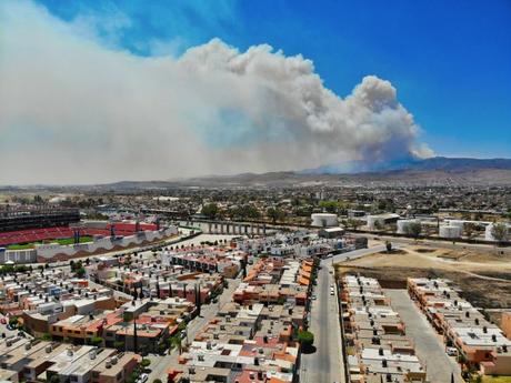 Se reactiva incendio de la Sierra de San Miguelito