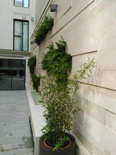 Jardín vertical de sistema F+P en Granada jardín vertical Granada