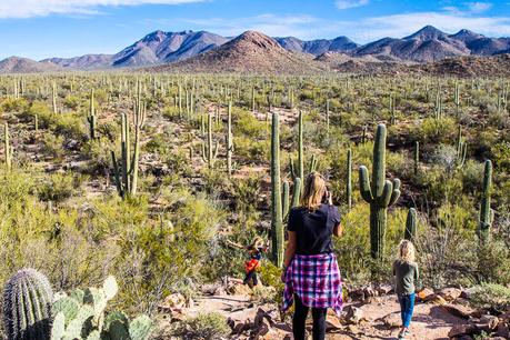 saguaro-national-park-west-9 ▷ 8 razones por las que viajar te ayuda a vivir una buena vida