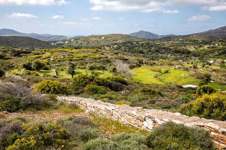 Naxos-Hiking.jpg.optimal ▷ Recorriendo el sendero de la aldea de Naxos: Melanes, Myli y los Kouroi