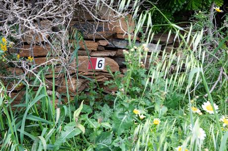 Naxos-6-Trail.jpg.optimal ▷ Recorriendo el sendero de la aldea de Naxos: Melanes, Myli y los Kouroi