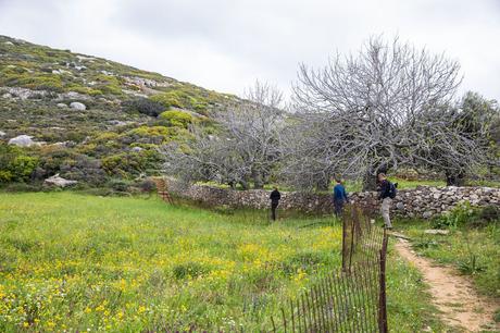 Trail-to-Kouros.jpg.optimal ▷ Recorriendo el sendero de la aldea de Naxos: Melanes, Myli y los Kouroi