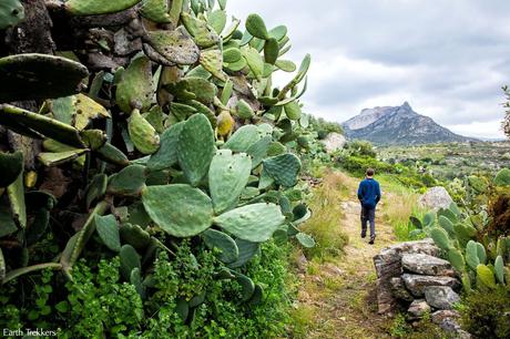 Hiking-on-Naxos.jpg.optimal ▷ Recorriendo el sendero de la aldea de Naxos: Melanes, Myli y los Kouroi